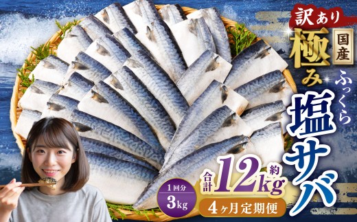 y錧_szy4ցzy󂠂zY ӂ ɂ݉To v3kg ^ 1؂ To  I  To I 