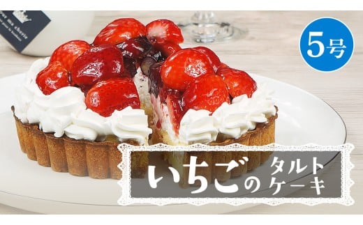 y錧}szy َq z ̃^gP[L 5 P[L t[c ʕ ^g t[c^g  C`S  u[x[ Yx[ ubNx[ JX^[h XC
