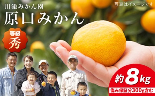みかん 【年内配送】 原口みかん 秀品/ミカン 約8kg（傷み保証分300g