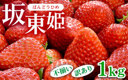 坂東姫 1kg 不揃い訳あり｜いちご 苺 イチゴ 訳あり 坂東太郎 果物
