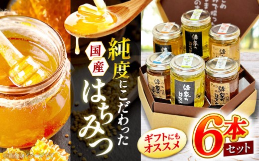 はちみつ 三次はちみつ園 蜂家のはちみつ5種6本セット （あかしあ