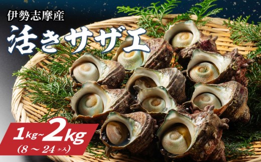 yOdɐzTUG 1kg`2kg i8`24j ① VN CN CY  L TUG h L hg hg  ڏĂ Ă O BBQ o[xL[ Lv  Mtg 