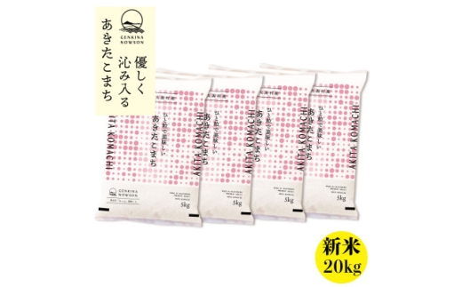 yHc劃zHcY \tJn!܂ߘa7NY20kg(5kg×4)s10{蔭ty1519359z