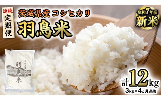 茨城県産 こしひかり米 4kg ×3袋 早い者勝ち‼️ 令和6年産 ／【 お試しサイズ 】 茨城県産 コシヒカリ 150g
