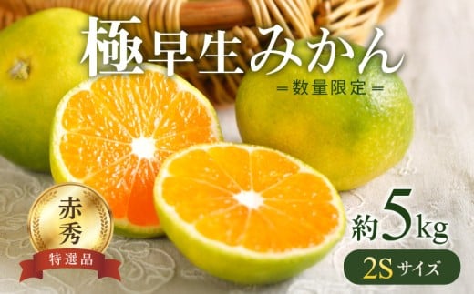 【和歌山県湯浅町】BF6035n_【数量限定】 極早生みかん 5kg 赤秀 2Sサイズ【ミカン 蜜柑 柑橘 温州みかん 有田みかん 贈答 ギフト わせみかん 小粒 小玉 和歌山】