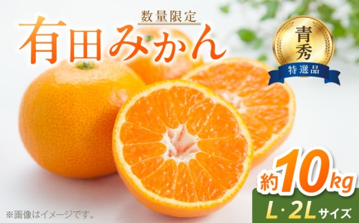 ya̎R󒬁zBF6008n_yʌz Lc݂ G L,2LTCY 10kg y~J  k B݂ Lc݂ a̎R  Mtgz