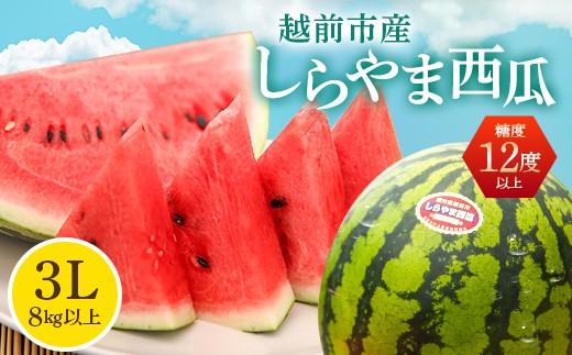 2025年 先行予約〉【コウノトリが舞う里で栽培される西瓜】しらやま