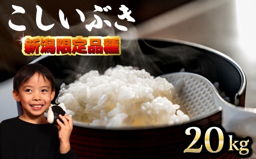 令和7年　こしひかり　こしいぶき　白米 20 キロセット echigo-inahoya_tokusen20k