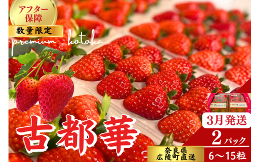 数量限定】【先行予約】苺のごほうび【古都華】270g×2パック 2026年3月