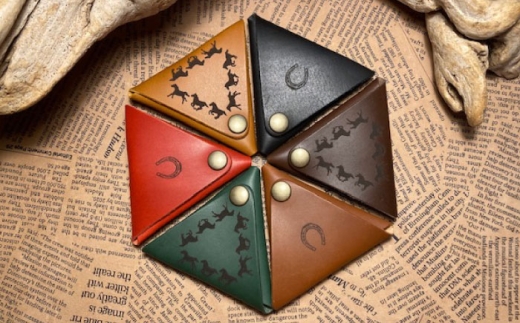 yꌧIsznアOpRCP[X  ibhj@@{v U[ v@Is / ЃuYGt [BIAU555]