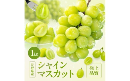 大人気! 長野県産 シャインマスカット 約1kg 秀品 〈2025年9月