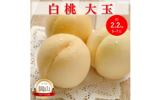 yRsz[5615-0754]2026N t RY   (2.2kg) 5`7   ʕ t[c