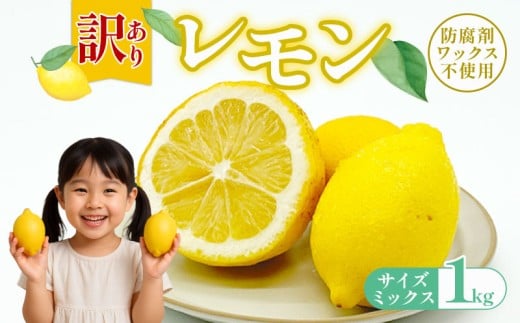 yQ쒬z󂠂背 1kg bNX hܕsgp TCY~bNX J[~bNX O[ CG[ k  s  EG   TCY~bNX KiO 퉷
