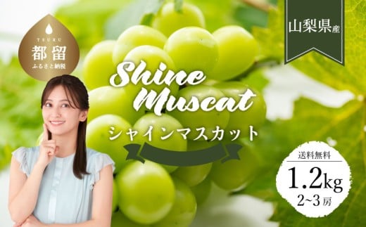 yRsszy2026Ns\zyRssӂ邳Ɣ[ŁzN[֔z@RYVC}XJbg1.2kg(2`3[)@t[c@@Ԃǂ@}XJbg@VC}XJbg