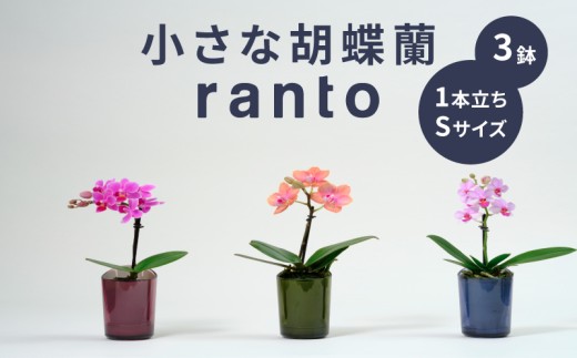 ytsz Ӓ 1{  t 3 ranto STCY 邾 y ~fB[Ӓ    ϗtA A RpNg  ӏ CeA  LO Mtg v[g