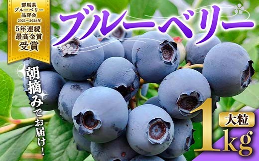 ブルーベリー大粒1kg 朝摘みでお届け！【5年連続最高金賞受賞 群馬県