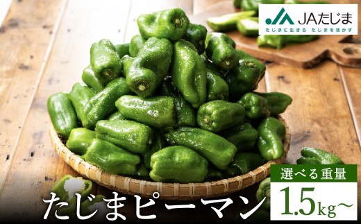 数量限定 たじまピーマン 【選べる内容量 約1.5kg・約4.5kg】/ 肉厚