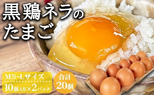 sd1_ce82d5d462b85f73ccfeb3cbf0