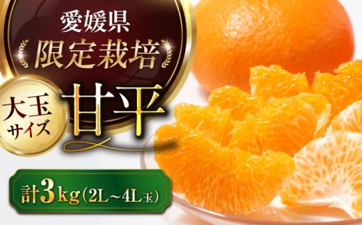 sd1_e0bb193b77b909104ea8d945e4