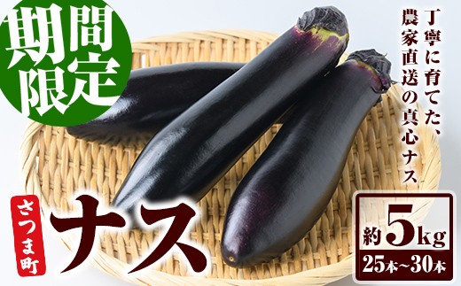 なすお出品 立仙農園】うちのなす1kg - 土佐香南まるごと旨市