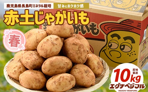 【フジシロ】ジャガイモ研究所　おまとめ品 sd1_fc6b3f2b9150a47c1c0f228964