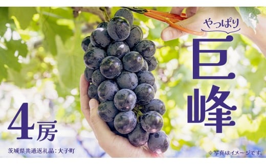 y錧vsz S[ y2026N7{Jnz(錧ʕԗiFq) Ԃǂ  uhE t[c ʕ XC[c