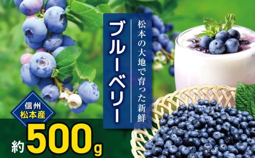 y쌧{szystF2026NzMB{Y@u[x[@TOO u[x[ x[ ʕ t[c VN R Â  쌧 MB { ӂ邳Ɣ[