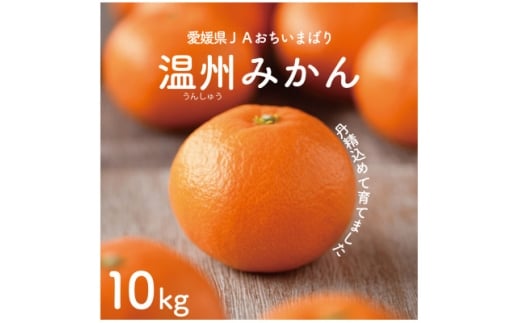 yQ㓇zs\񁄐˓̉B݂10kg@L`S@JAIʕiy1644274z