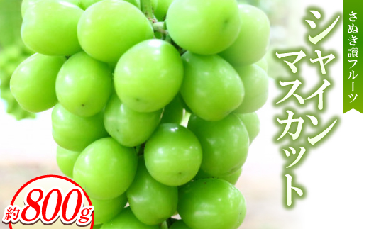 y쌧zʂ]t[cuVC}XJbgv800g 8`9菇y1611395z