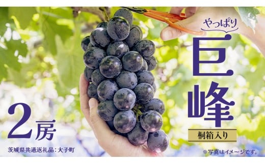 y錧vszy˔z  Q[ y2026N7{Jnz(錧ʕԗiFq) Ԃǂ  uhE t[c ʕ XC[c Mtg p 蕨 v[g