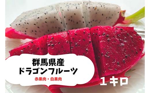 2025年7月下旬より順次発送＞ ドラゴンフルーツ (1kg) くだもの 果物