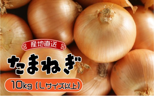 【北海道岩見沢市】【通常配送】市場の目利き 北海道岩見沢産たまねぎ 10kg