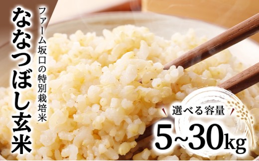 ykC〈szIׂeʁI ߘa7NYIt@[̓ʍ͔| ȂȂڂ 5kg~30kg