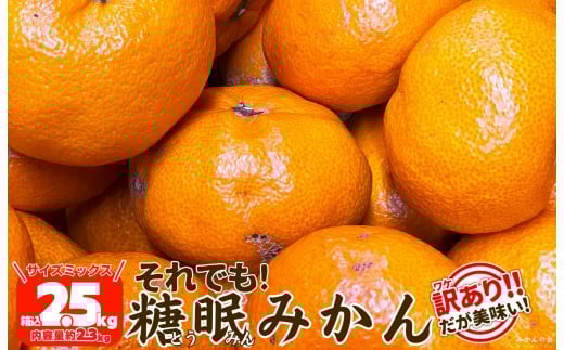 ya̎RLc쒬zms\n󂠂 ł n݂ 2.5kg ( e 2.3kg ) TCY~bNX ai Lc݂ a̎RY Yn ƒp ỷ݂z