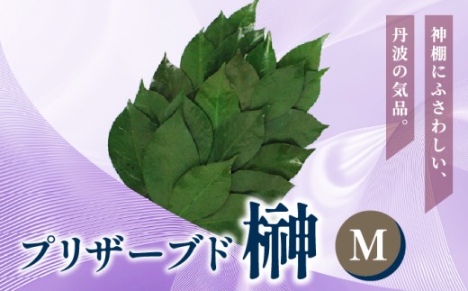 yɌszvU[uh  MTCYi1 2jyVR Y TJL _I _ Ւd ʋ _ d    ~ ފ V~  sv ͂Ȃ vU[uht[z