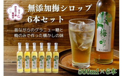 無添加梅シロップ　300ml×6本　伊豆　月ヶ瀬 sd1_ab9cec398e18d844411a65e584