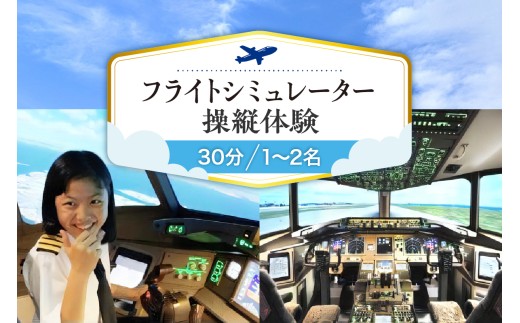 フライトシミュレーター操縦体験30分コース - 東京都品川区｜ふるさと