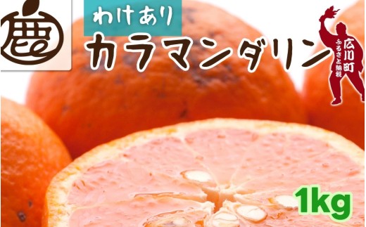 ya̎RL쒬zJ}_ 1kg+250g iɂݕ⏞j ƒp / J JIW J݂ ÊC Ȃ 󂠂 a̎R Lc k ӊ 4{?5 kCEE