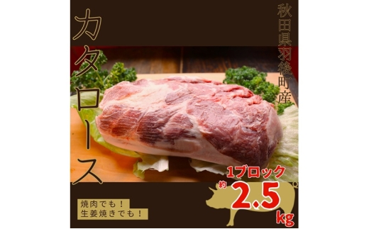 yHcH㒬zHc H㒬Y ؓ J^[X 1ubN 2.5kgO  [   |[N BBQ ؃Jc Jc ]