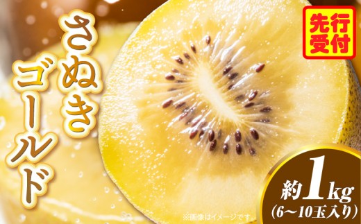 y쌧Oؒz쌧IWiLECt[cuʂS[hv1kgi6|10ʁjy쌧ʕԗiz | ʕ t[c  ʕ LEC ʂS[h fU[g ʎ  蕨
