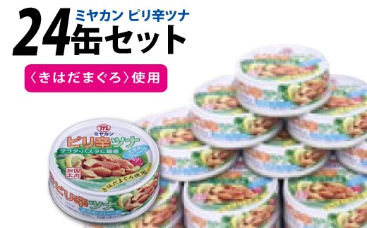缶詰 ピリ辛ツナ 75g ×24缶 [ミヤカン 宮城県 気仙沼市 20565674