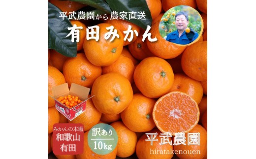 10キロ　有田みかん　農家直送！ 農家直送！有田みかん（10kg 訳あり≪サイズ混合≫）平武農園 ～蛍飛ぶ