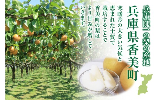 ふるさと納税】【2026年産 先行予約】《選べる内容量 3kg・5kg》【晩生