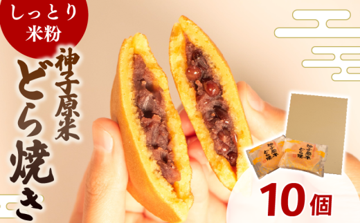 yΐ쌧HszǂĂ  ĕ 10 aَq َq ǂ₫  XC[c fU[g lC ֗  ̓ ̓  Ε 蕨  Mtg v[g Ƃ n