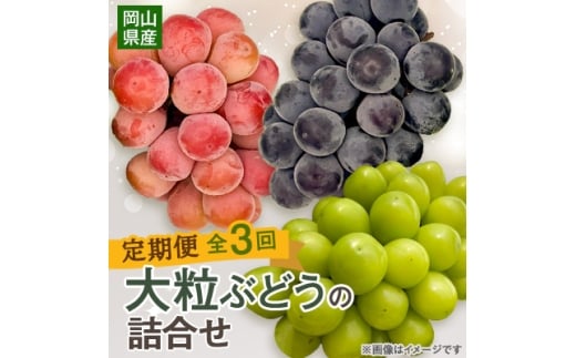 yRÎRszŒց10`12@嗱Ԃǂ̋lS3_Ԃǂ  uhE VC}XJbg l 嗱 햳 ʕ  t[c  R ÎRs Y