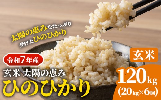 yR}szyߘa7NYz RY Ђ̂Ђ }Y 20kg×6iv120kgj žb iāj st-p