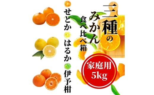 愛媛県産　家庭用　愛果28号　柑橘　15kg 楽天市場】【ふるさと納税】 【先行予約】家庭用 愛果28号 約3kg