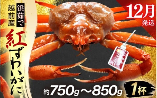 y䌧zOzl䥂ŁzOY g킢 × 1tiŖ750g`850gjy12zygYCKj Jj  Izyg킢Ɂz]ws [e80-x002_12]