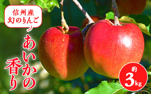 2025年!甘い!幻のりんご＜あいかの香り＞約3㎏ 信州のりんご【1041410