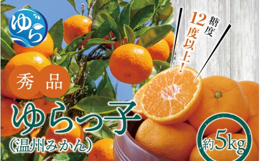 受付終了間近／【糖度12度以上！】温州みかん「ゆらっ子」5kg ※2025年